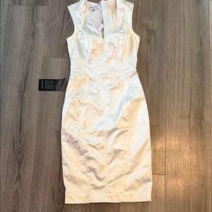 Bebe Cream Sculpted Sheath Dress